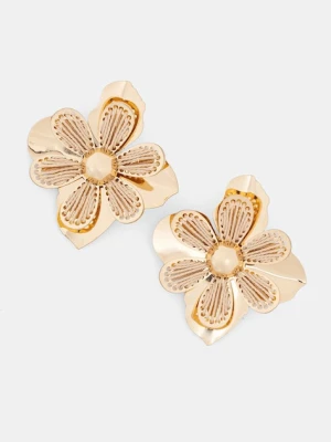 Aldo kolczyki AURRORA