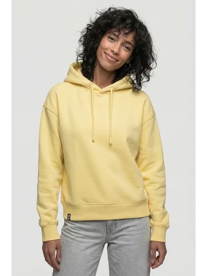 alife and kickin Bluza "Danya" w kolorze żółtym rozmiar: XXL