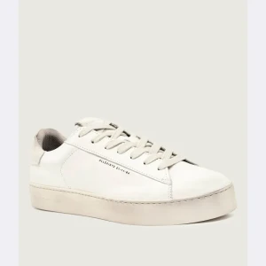 All Saints Skórzane sneakersy SHANA