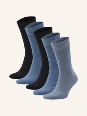 Allsaints 3 Pary Skarpet Adan blau