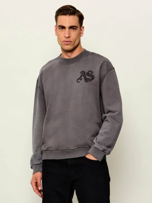 AllSaints Bluza INSIGNIA | Regular Fit szary