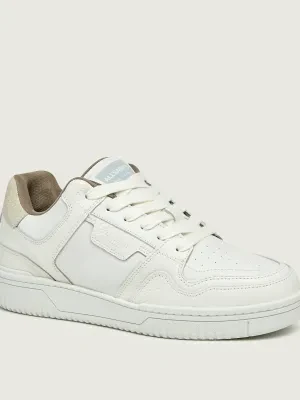 AllSaints Skórzane sneakersy REGAN PLUS LOW TOP | zamsz