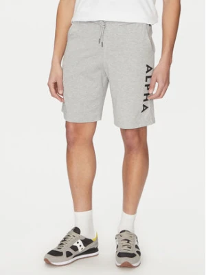 Alpha Industries Szorty sportowe 116366 Szary Regular Fit