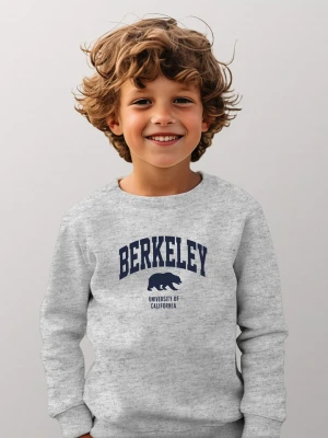 American Universities Bluza "Berkeley University Of California" w kolorze szarym rozmiar: 152