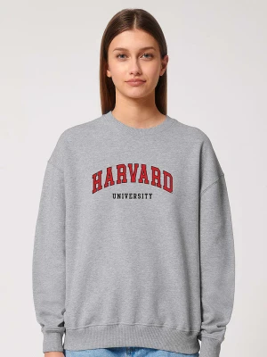 American Universities Bluza "Harvard University" w kolorze szarym rozmiar: M