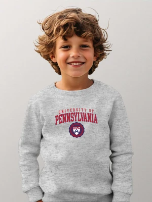 American Universities Bluza "University Of Pennsylvania" w kolorze szarym rozmiar: 152