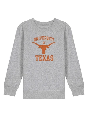 American Universities Bluza "University Of Texas" w kolorze szarym rozmiar: 116