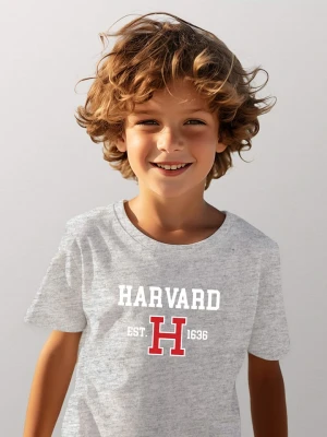 American Universities Koszulka "Harvard Est 1636" w kolorze szarym rozmiar: 140