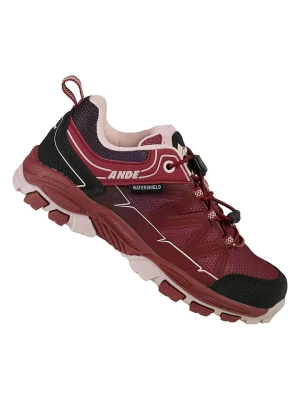 Ande Buty trekkingowe "Boe" w kolorze bordowym rozmiar: 37