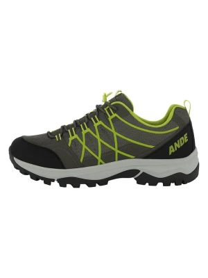 Ande Buty trekkingowe "Muggio Low" w kolorze zielono-czarnym rozmiar: 37