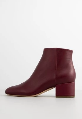 Ankle boot Sergio Rossi