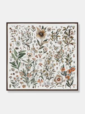 Answear.LAB apaszka jedwabna damska kolor brązowy wzorzysta