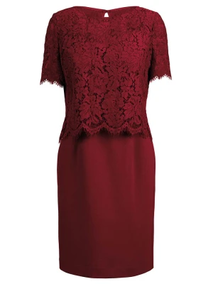 APART Sukienka w kolorze bordowym rozmiar: 36