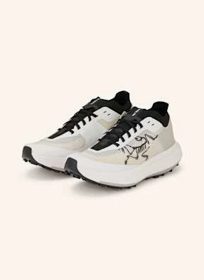 Arc'teryx Buty Do Biegania W Terenie Sylan Pro weiss Arcteryx