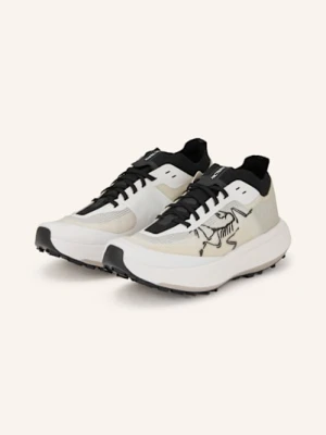 Arc'teryx Buty Do Biegania W Terenie Sylan Pro weiss Arcteryx