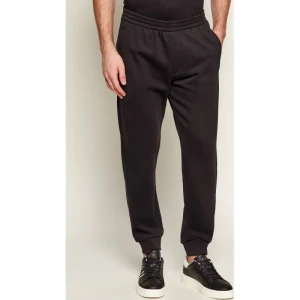 Armani Exchange Spodnie dresowe | Regular Fit