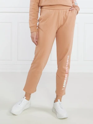 Armani Exchange Spodnie | Regular Fit
