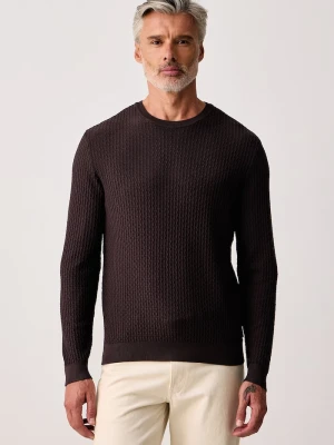 Armani Exchange sweter męski z wiskozą brązowy