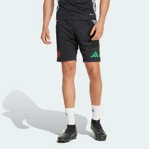 Arsenal Tiro 24 Training Shorts Adidas