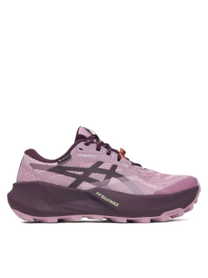 Asics Buty do biegania Trabuco 14 Gtx 1012B936 Różowy