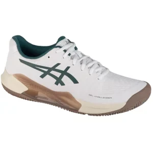 ASICS Gel-Challenger 14 Clay 1041A449-104, Męskie, Białe, buty do tenisa, syntetyk, rozmiar: 42