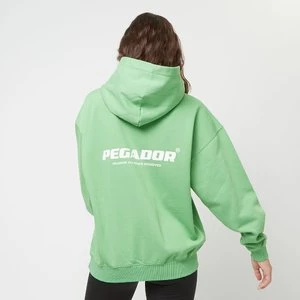 Atna Logo Oversized Hoodie, markiPegador, Bluzy, w kolorze zielony, rozmiar: