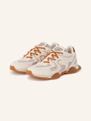 Axel Arigato Sneaker Eris beige