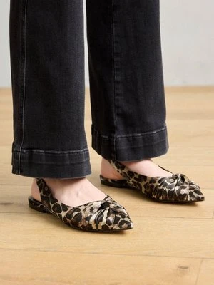 Baleriny Kennel + Schmenger