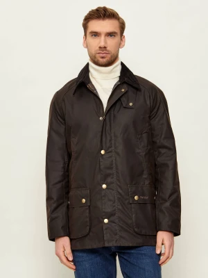 Barbour Kurtka Ashby | Regular Fit brązowy