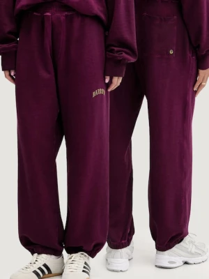 Barrow spodnie dresowe bawełniane kolor fioletowy z nadrukiem F5BWUAFP028
