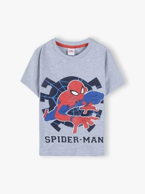 Bawełniana koszulka z krótkim rękawem, Spiderman - szara