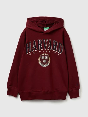 Benetton, Hoodie ©harvard University, Size: XL, Burgundy, Kids United Colors of Benetton