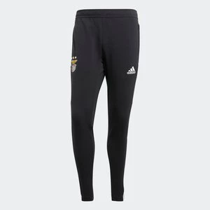 Benfica Condivo Training Pants Adidas