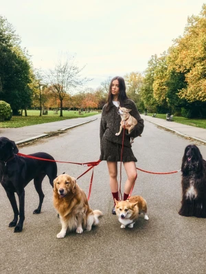 Bershka Spódnica Mini Z Falbanką I Kokardą Kobieta Brązowy