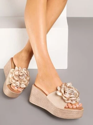 Beżowe Klapki na Koturnie Zdobione Aplikacją z Kwiatem Reisova renda