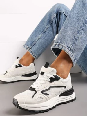 Beżowo-Czarne Sneakersy na Niskiej Platformie z Siateczką z Ozdobnymi Wstawkami Lelphine