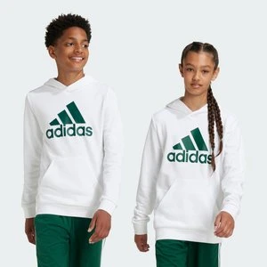 Big Logo Essentials Cotton Hoodie Adidas