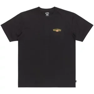 Billabong Dreamy Place Tee EBYZT00294-BLK, Męskie, Czarne, t-shirty, bawełna, rozmiar: L