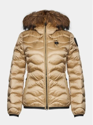 Blauer Kurtka zimowa 23WBLDC03093 Brązowy Regular Fit