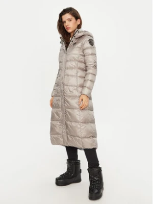Blauer Płaszcz zimowy 24WBLDK03040 Srebrny Regular Fit