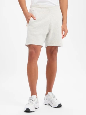 BLKVIS Męskie spodenki dresowe - Nightflight Mężczyźni Bawełna szary,