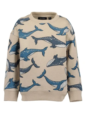 Blue Seven Bluza w kolorze beżowo-niebieskim rozmiar: 116