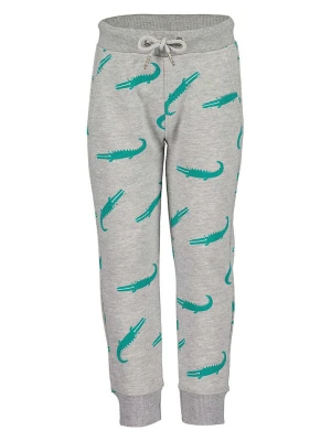 Blue Seven Spodnie dresowe w kolorze szarym rozmiar: 92