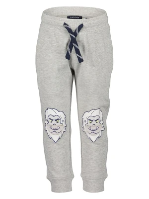 Blue Seven Spodnie dresowe w kolorze szarym rozmiar: 98