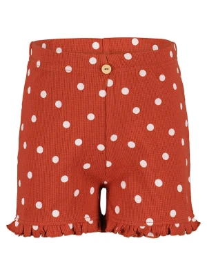 Blue Seven Szorty w kolorze czerwonym rozmiar: 110