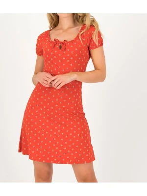 Blutsgeschwister Sukienka "Heart on fire bloemen meisje" w kolorze czerwonym rozmiar: XL