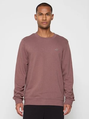 Bluza 4F brązowy