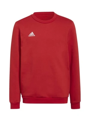 Bluza Adidas czerwony