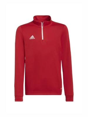 Bluza Adidas czerwony
