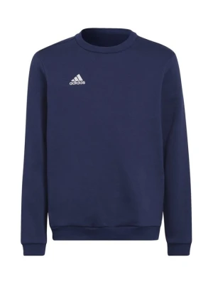 Bluza Adidas granatowy